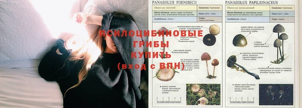 круглые Зерноград