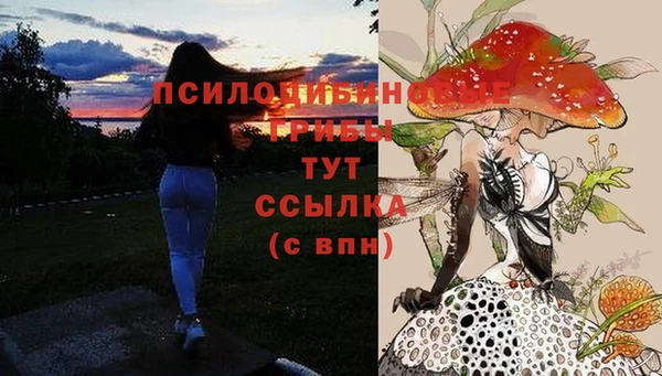 круглые Зерноград