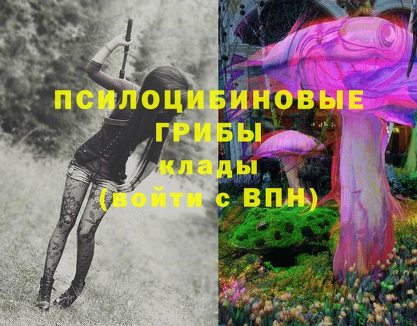МДПВ Зеленокумск